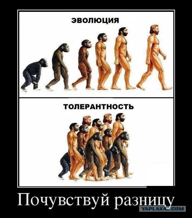 Что бы надеть сегодня?