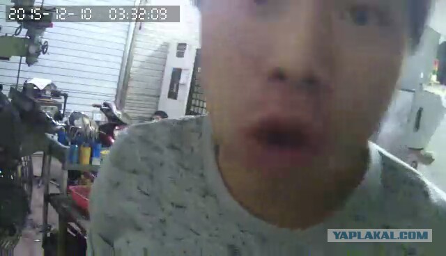 За что я люблю китайцев