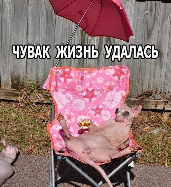 Отовсюду понемногу