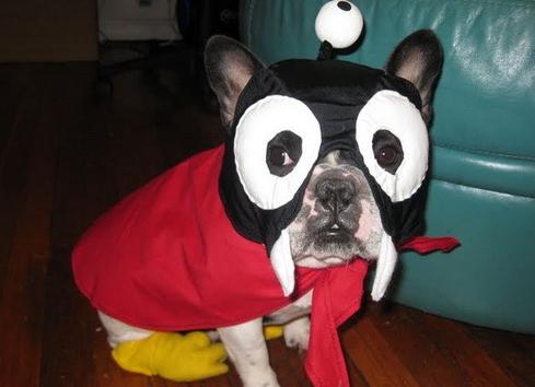 Картинки из сети, подборка