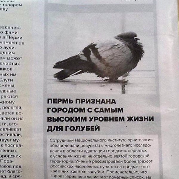 Абсурдный юмор ч.22