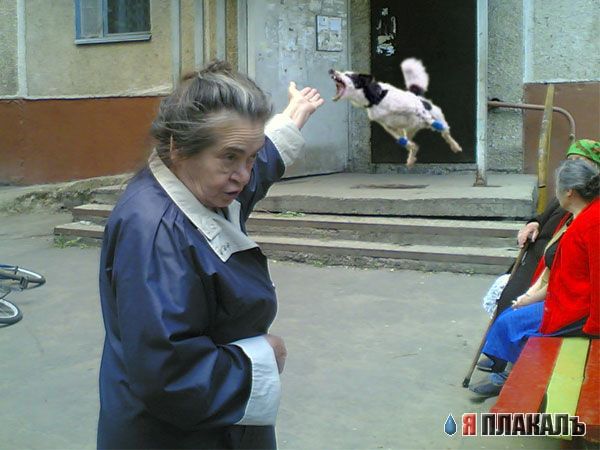 Фотожаба: Бабуля у подъезда