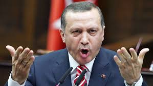 Немецкий ответ на турецкий ультиматум. ЕС внезапно нашёл в Турции базы боевиков..