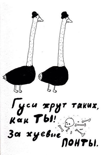 Сборище абсурда