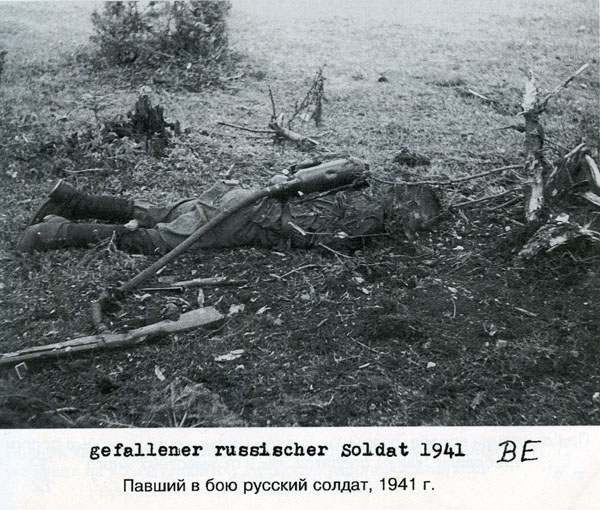 Волховский фронт. 1942. Взгляд с той стороны.