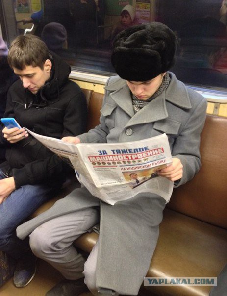 Порция картинок
