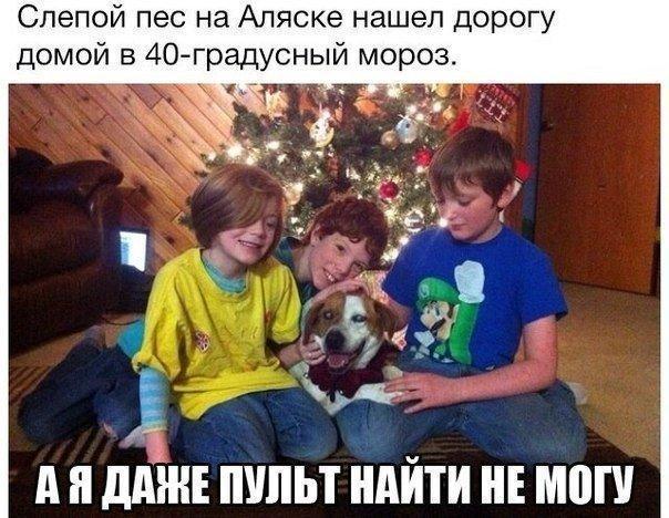 Хреновости со всего мира
