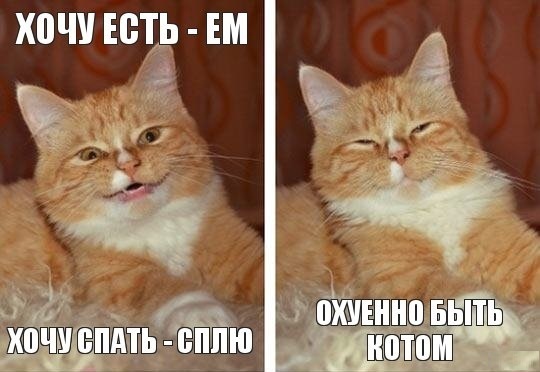 Очередная подборка школьной наркомании из соц.сетей
