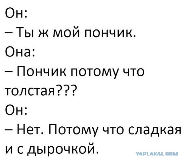 С новым годом собаки