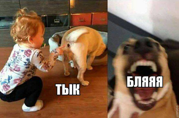 Время веселья для тёмных сил