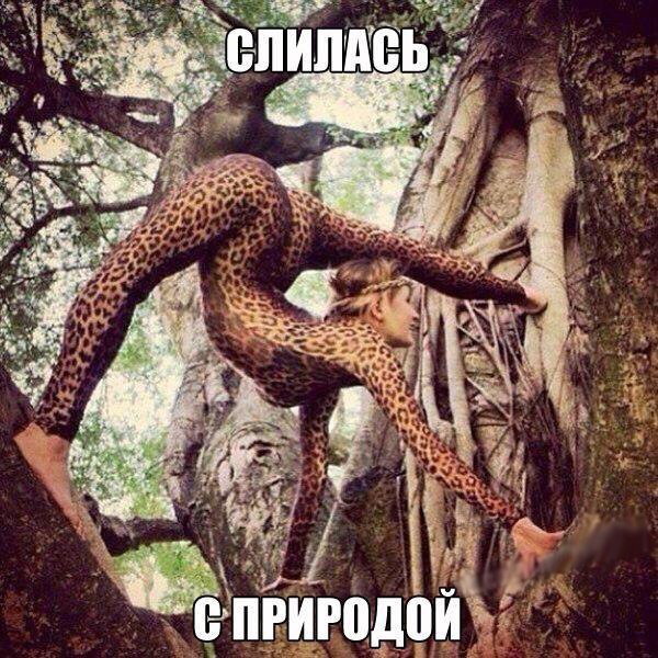 Подборка интересных и веселых картинок