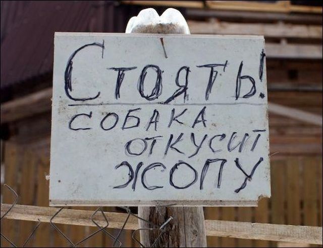 Нестандартный юмор