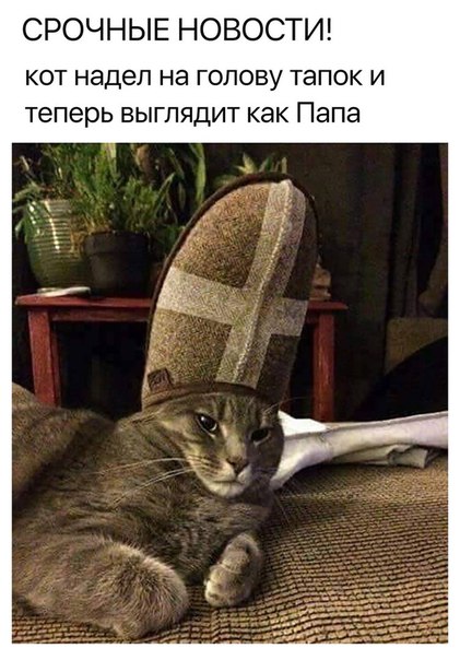 Подборка интересных и веселых картинок