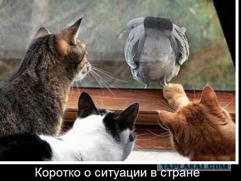 Коротко о ситуации в стране