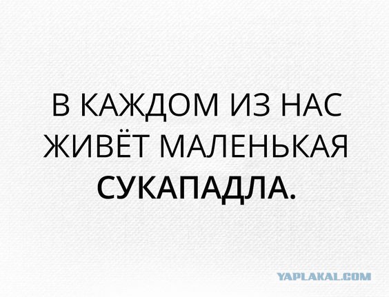 Смешные комментарии из социальных сетей 31.08.2018
