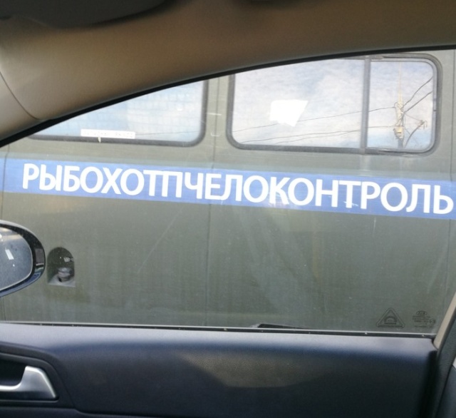 Прикольные надписи и объявления
