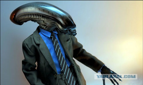 Астрономическая минутка. Или две.