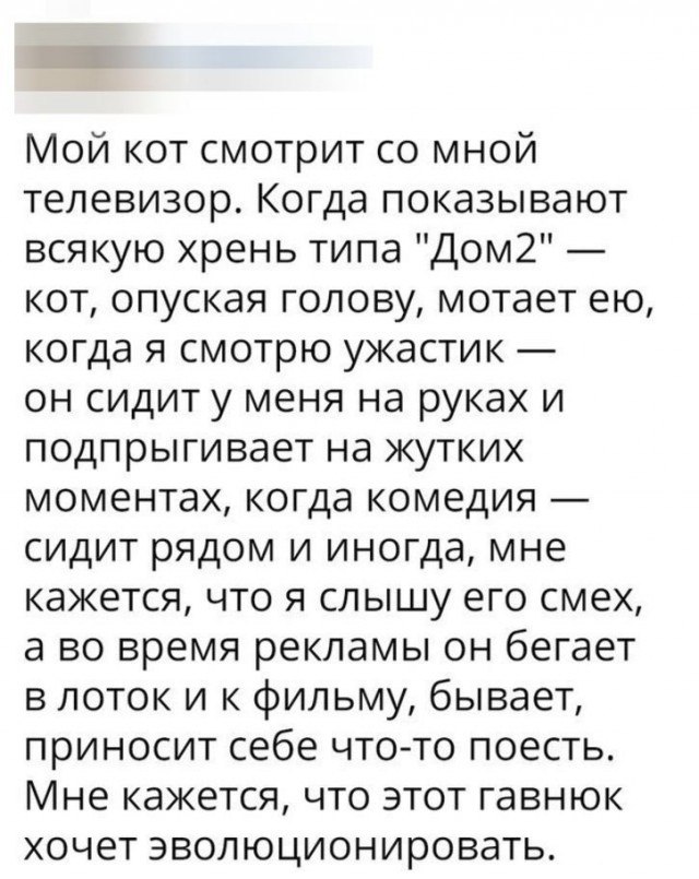 Немного картинок для настроения
