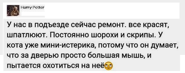 Фото, соц-сети и картинки с надписями