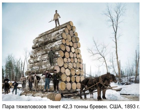 Фальшивая история человечества. Старинные фотографии