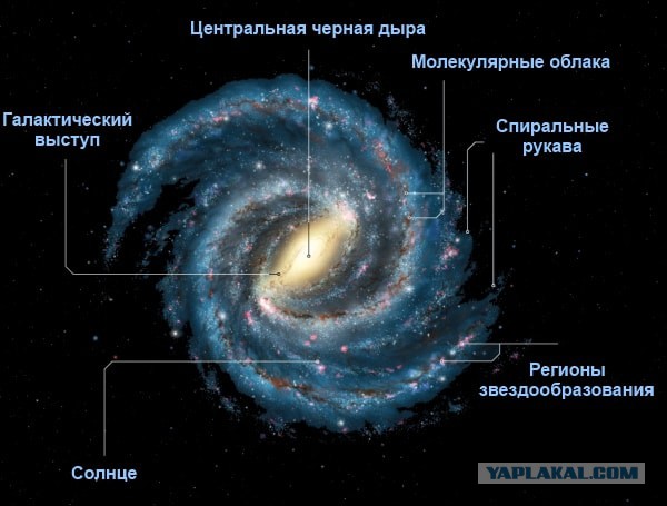 Сравнение и истинные размеры черных дыр.
