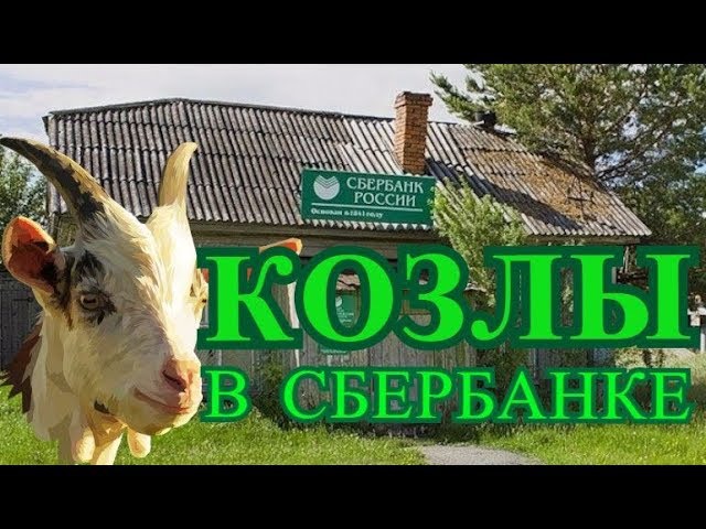 Будьте бдительны! Нанесение начертания при снятии биометрии!