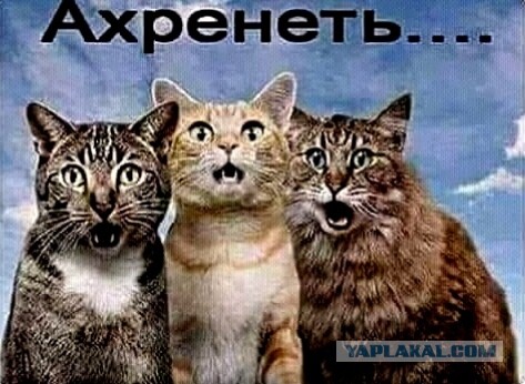 А что если