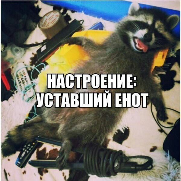 Древние мемы с ВК. Для тех кто забыл #3