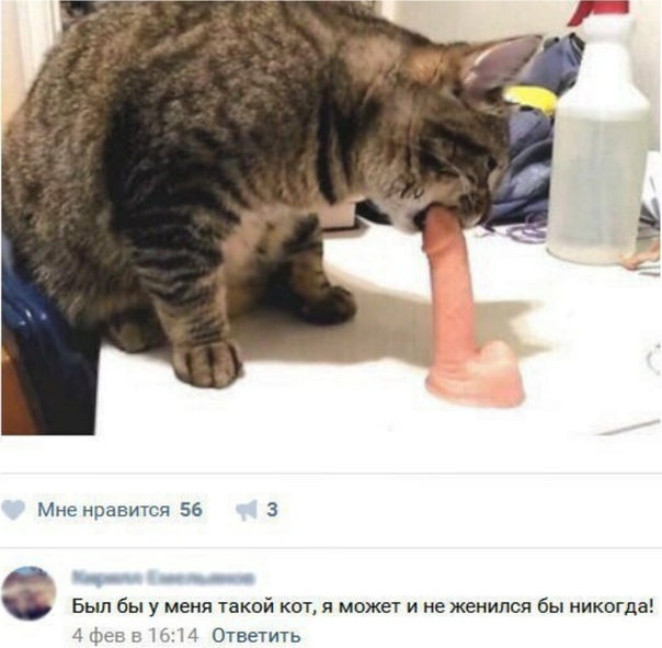 Короче, не забили