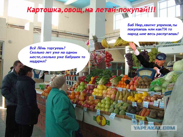 Поле Чудес