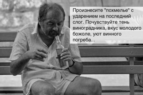 Скотсети и прочие интернеты 22.10.20