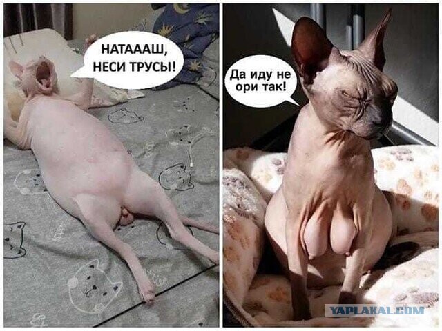 Бредзона 29.11.20