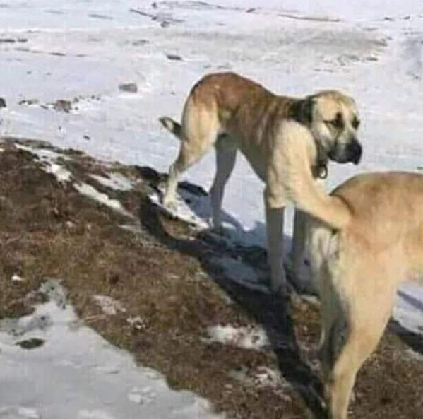 Солянка на начало недели