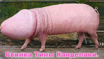 Медведев в айфоне Канделаки.