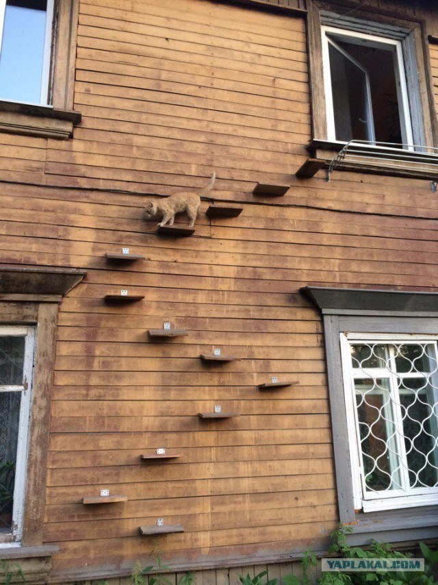 Картинки на вчера