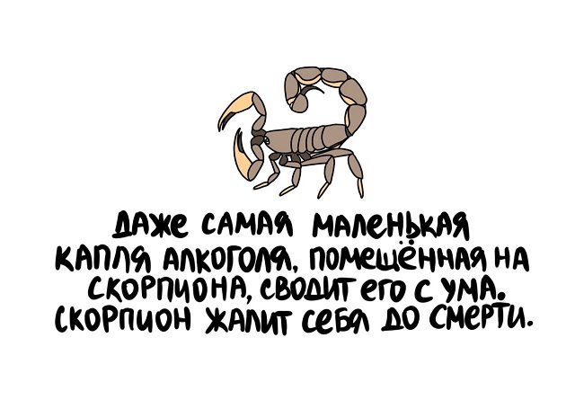Прикольные и просто красивые картинки 11.08.2021