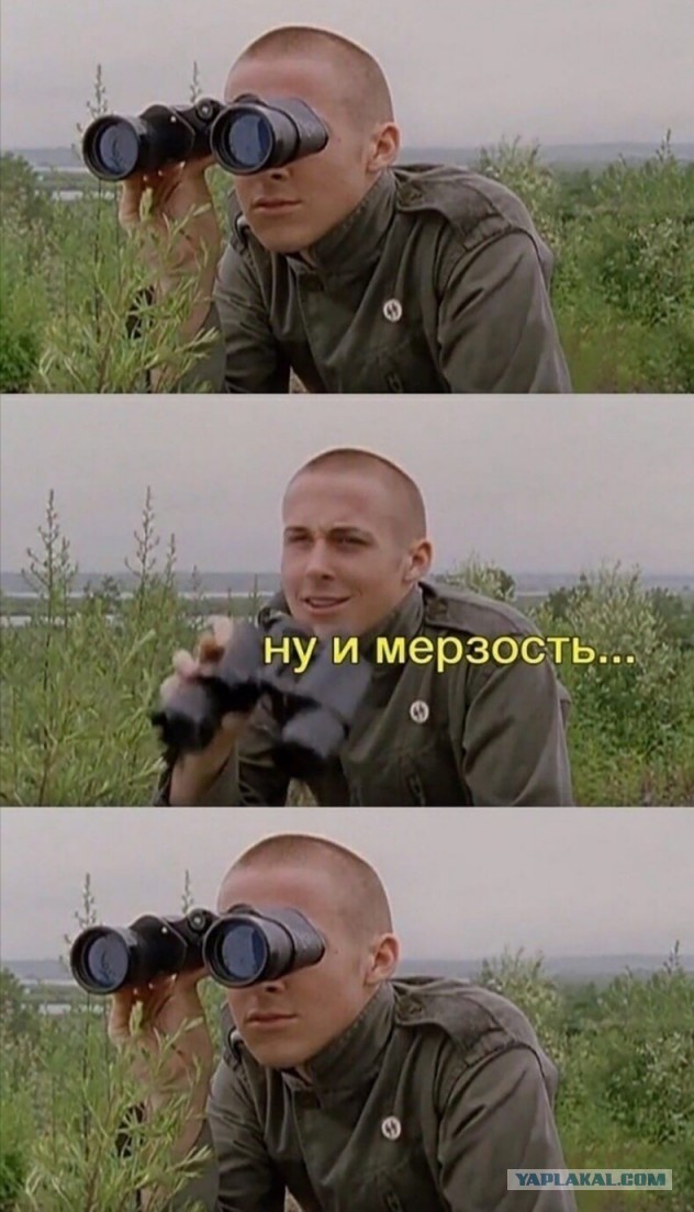 Аморальная деградация