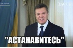 Гражданки приятных наружностей и окружностей