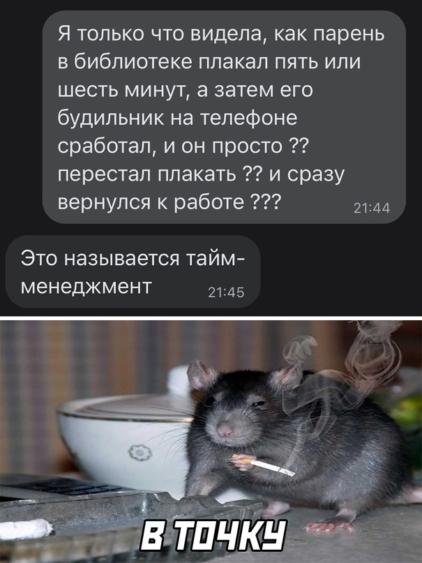 Картинки и мемы 08.10.2021