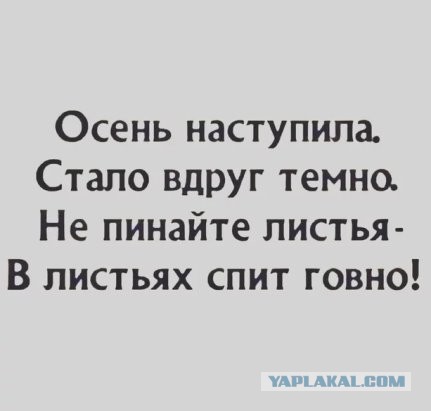 Юмор и прикольные картинки 11.10.2021