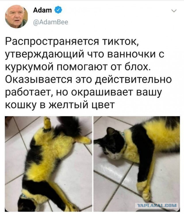 Так себе картинки 23.10.21