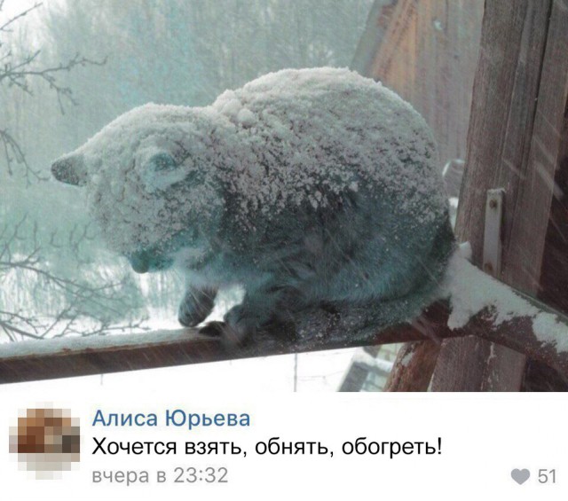 Так себе картинки 25.10.21