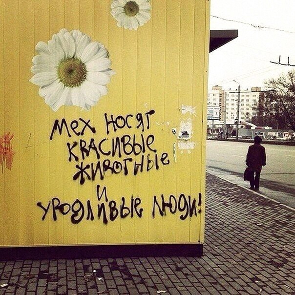 Так себе картинки 09.02.22