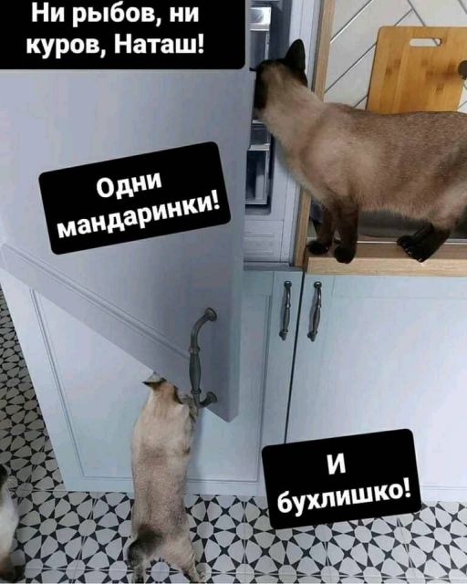 Картинки и буквы 15.07.22