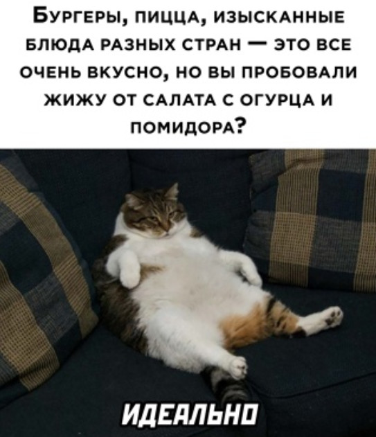 Улыбнись, не грусти!