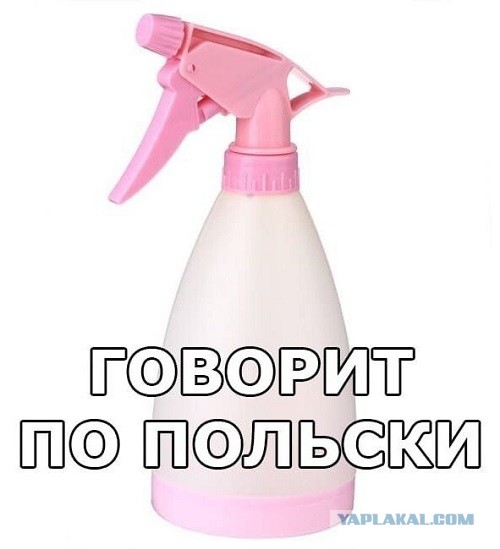 Поляки начинают догадываться.
