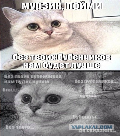 От такого даже Бадя офигел