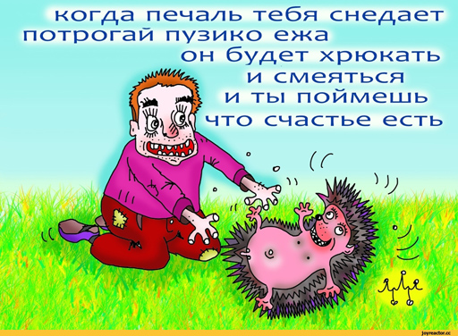 Прикольные и просто красивые картинки 16.12.2022