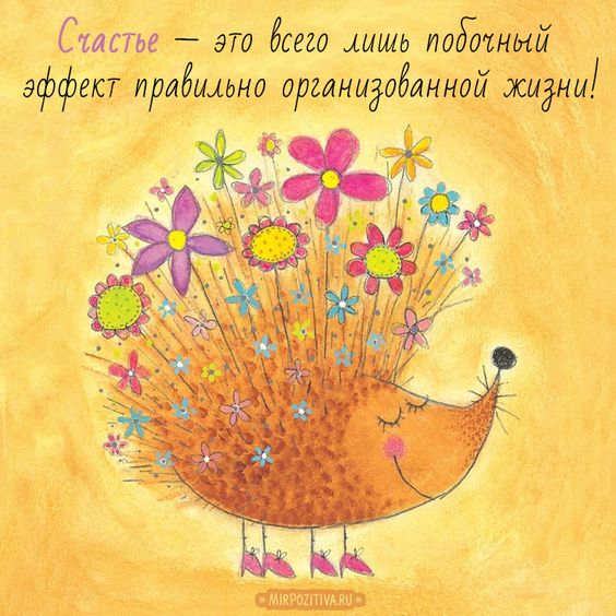 Прикольные и просто красивые картинки 27.12.2022