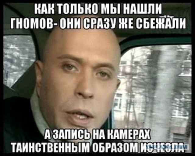 Леший унёс дерево